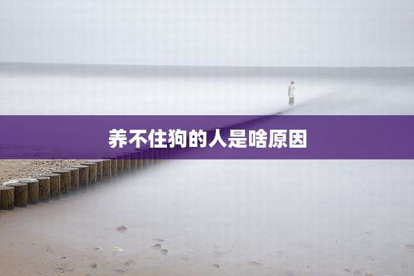 养不住狗的人是啥原因