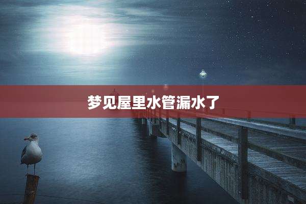 梦见屋里水管漏水了