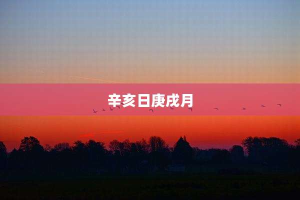 辛亥日庚戌月