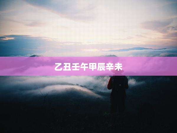 乙丑壬午甲辰辛未