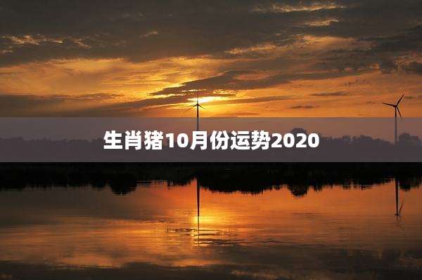 生肖猪10月份运势2020