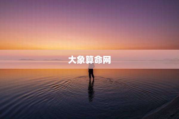 大象算命网