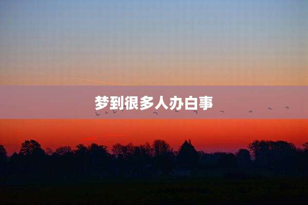 梦到很多人办白事