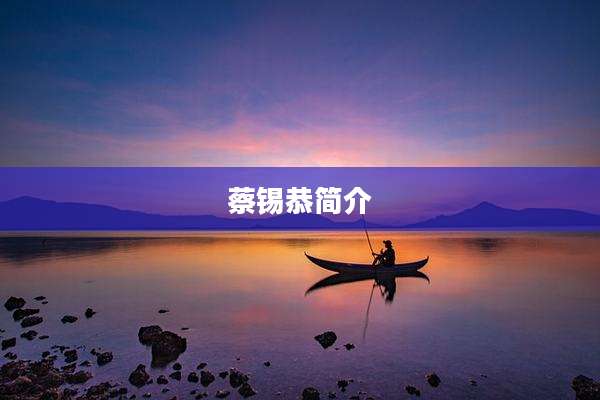蔡锡恭简介