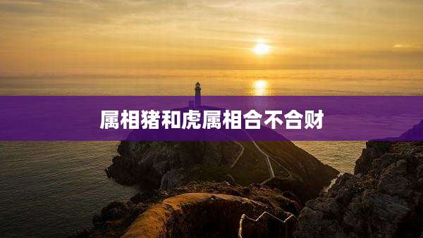 属相猪和虎属相合不合财
