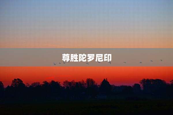 尊胜陀罗尼印