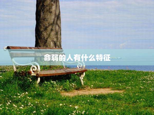 命弱的人有什么特征
