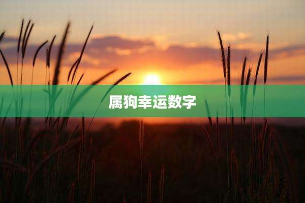 属狗幸运数字