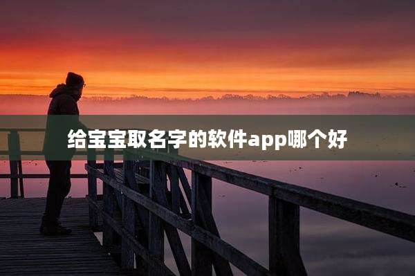 给宝宝取名字的软件app哪个好