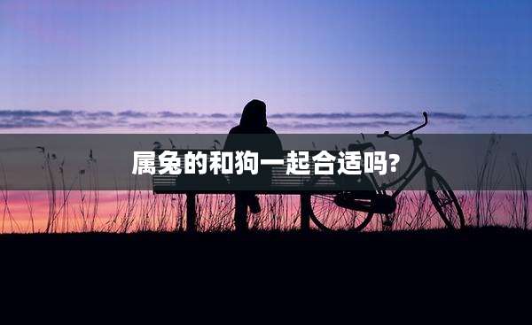 属兔的和狗一起合适吗?