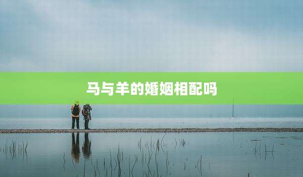 马与羊的婚姻相配吗