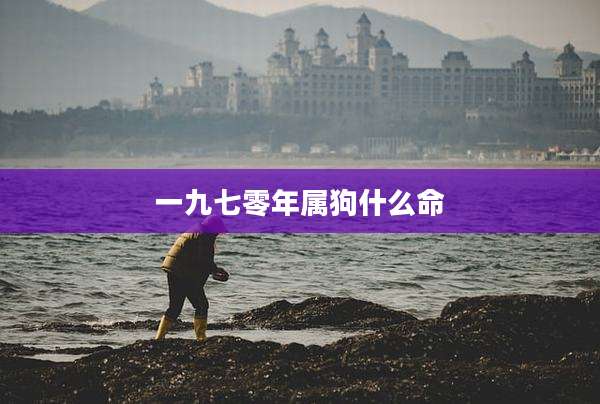 一九七零年属狗什么命
