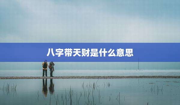 八字带天财是什么意思