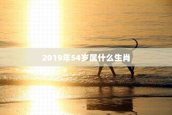 2019年54岁属什么生肖