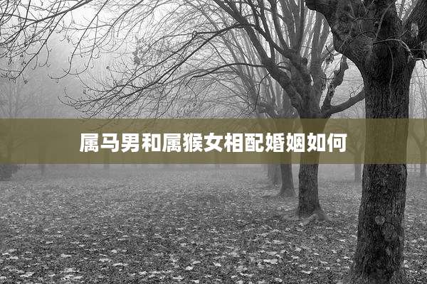 属马男和属猴女相配婚姻如何