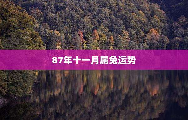 87年十一月属兔运势