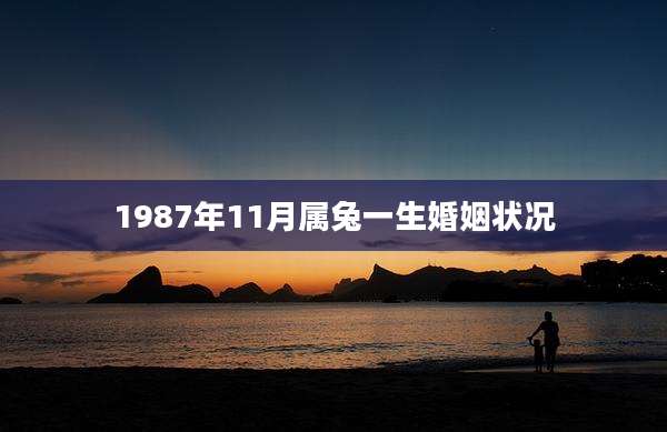 1987年11月属兔一生婚姻状况