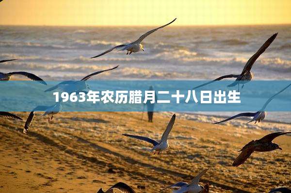 1963年农历腊月二十八日出生