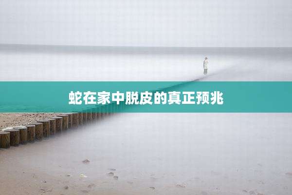 蛇在家中脱皮的真正预兆