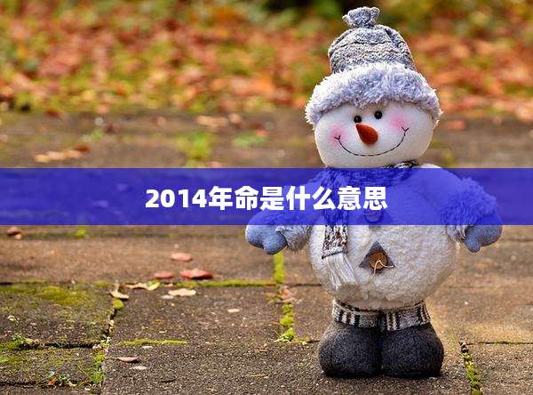 2014年命是什么意思