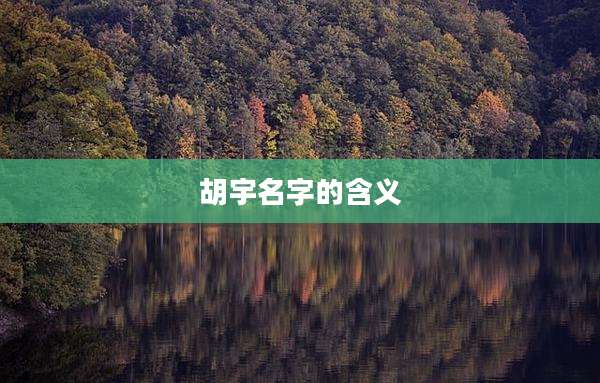 胡宇名字的含义