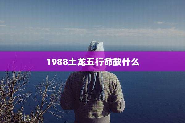 1988土龙五行命缺什么