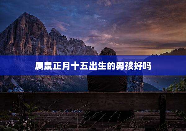 属鼠正月十五出生的男孩好吗
