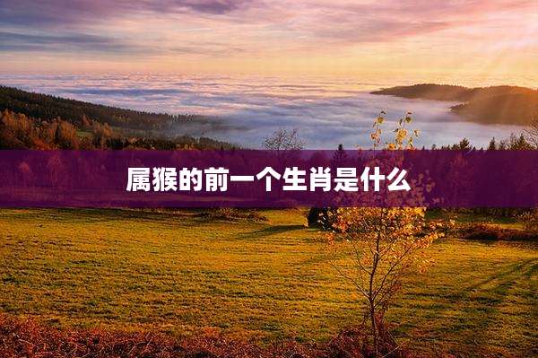 属猴的前一个生肖是什么