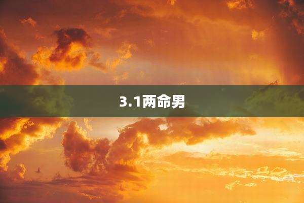 3.1两命男
