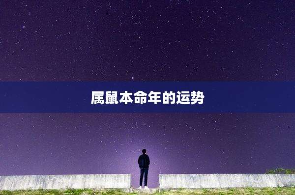 属鼠本命年的运势