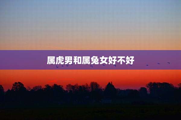 属虎男和属兔女好不好