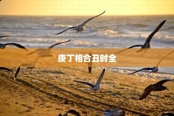 庚丁相合丑时全