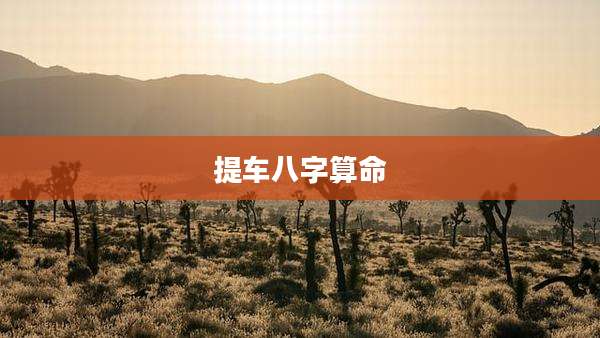 提车八字算命
