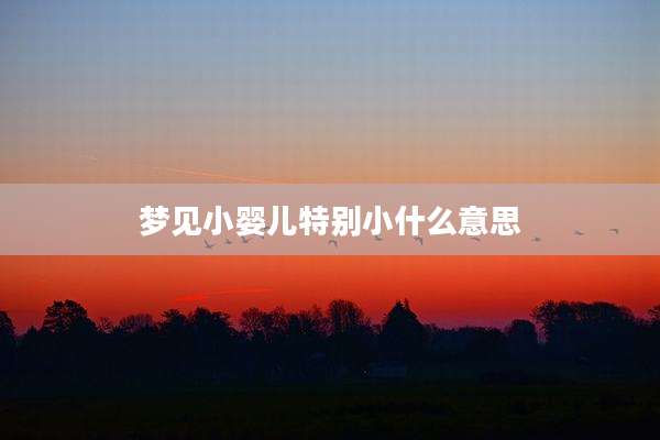 梦见小婴儿特别小什么意思