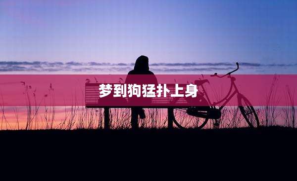 梦到狗猛扑上身