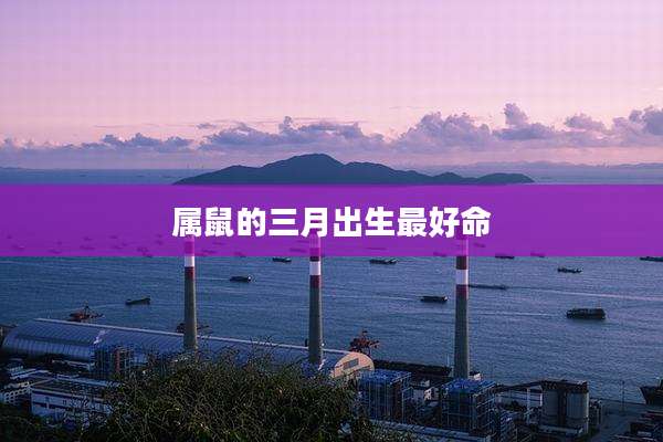 属鼠的三月出生最好命
