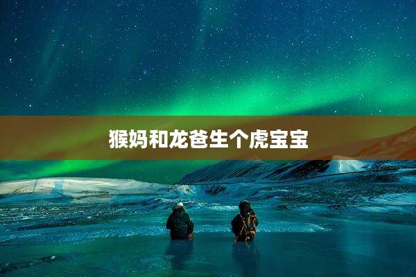 猴妈和龙爸生个虎宝宝