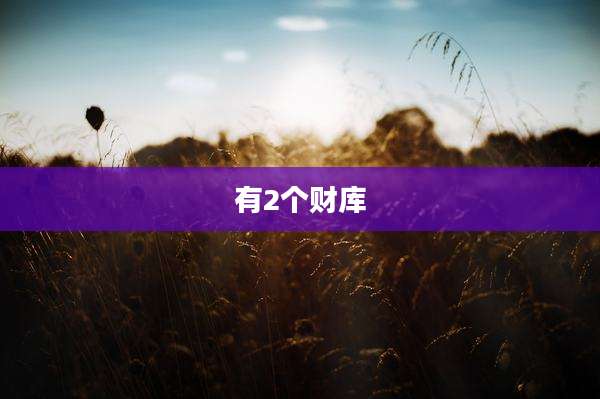 有2个财库