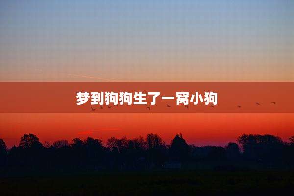 梦到狗狗生了一窝小狗