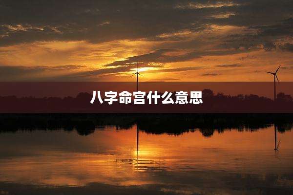 八字命宫什么意思