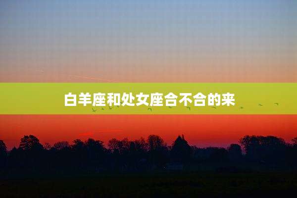 白羊座和处女座合不合的来