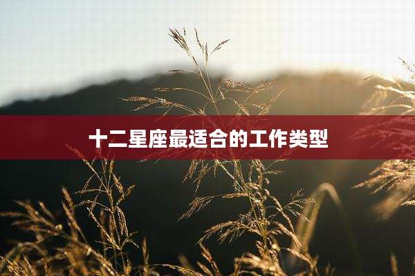 十二星座最适合的工作类型