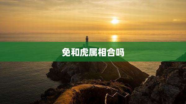 免和虎属相合吗