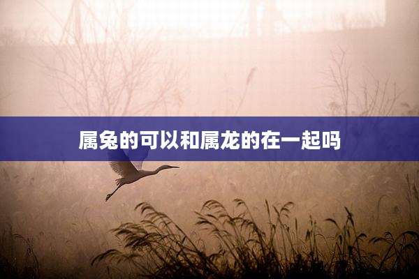 属兔的可以和属龙的在一起吗