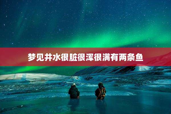 梦见井水很脏很浑很满有两条鱼