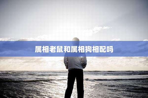 属相老鼠和属相狗相配吗