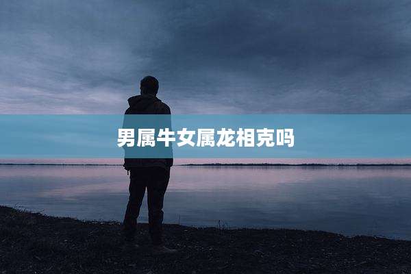 男属牛女属龙相克吗