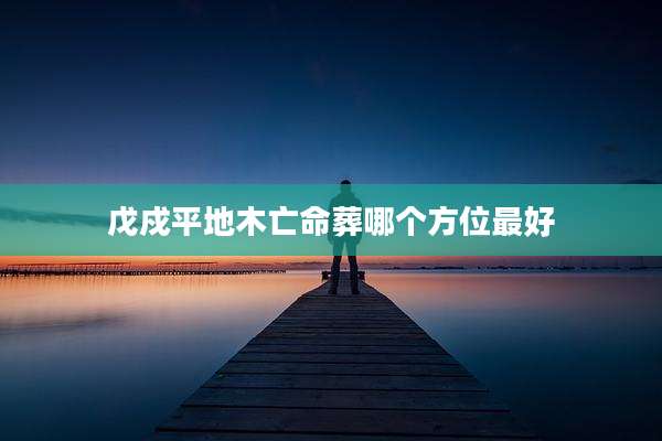 戊戍平地木亡命葬哪个方位最好