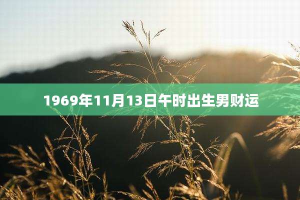 1969年11月13日午时出生男财运