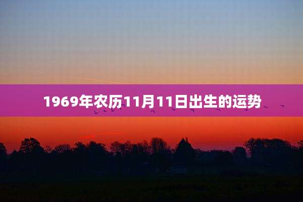 1969年农历11月11日出生的运势